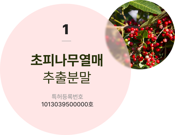 초피나무열매 추출분말 다낭 카지노등록번호 1013039500000호