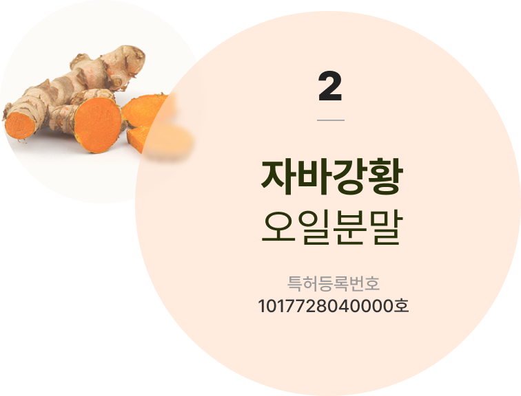 자바강황 오일분말 다낭 카지노등록번호 1017728040000호