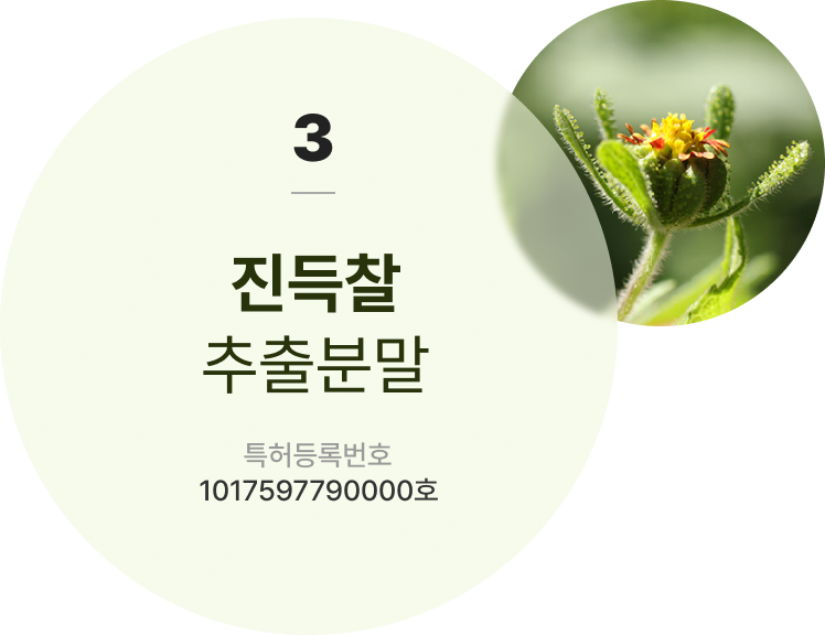 진득찰 추출분말 다낭 카지노등록번호 1017597790000호