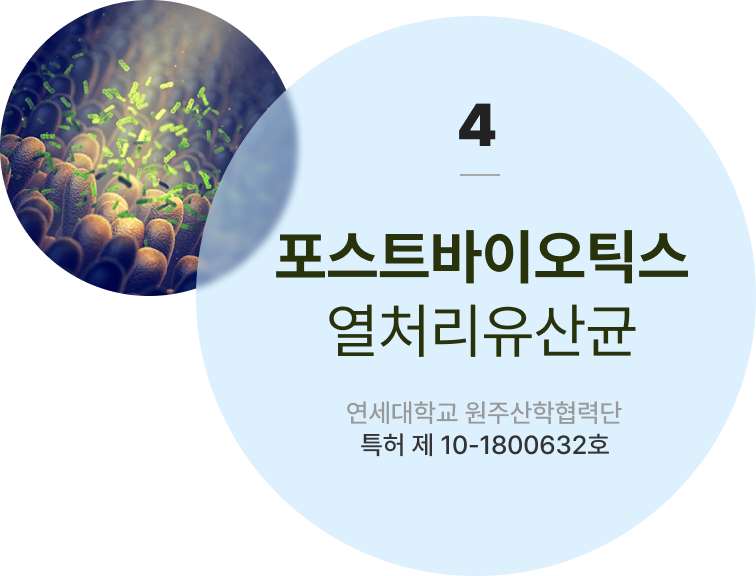 포스트바이오틱스 열처리유산균 연세대학교 원주산학협력단 다낭 카지노 제 10-1800632호