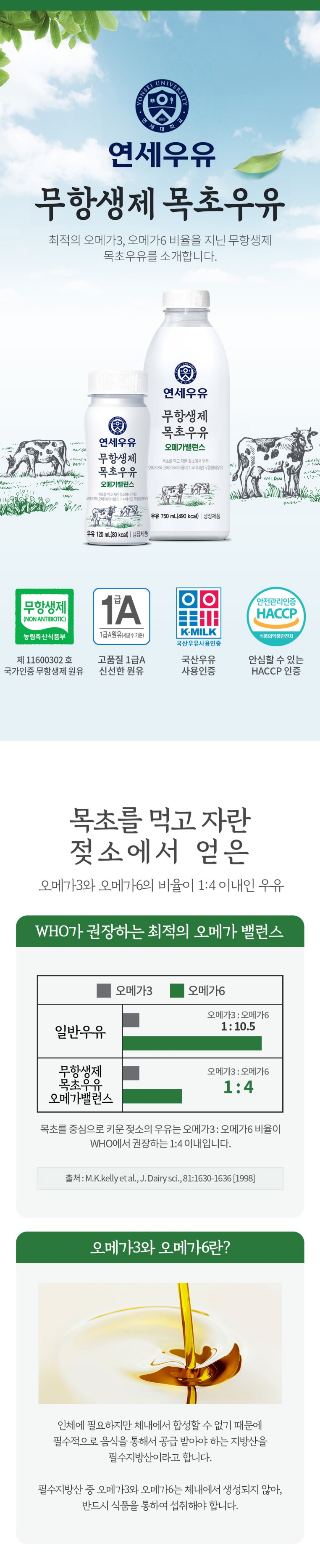 파라오 카지노