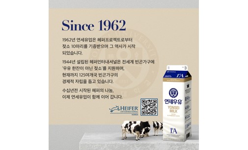 엠 카지노