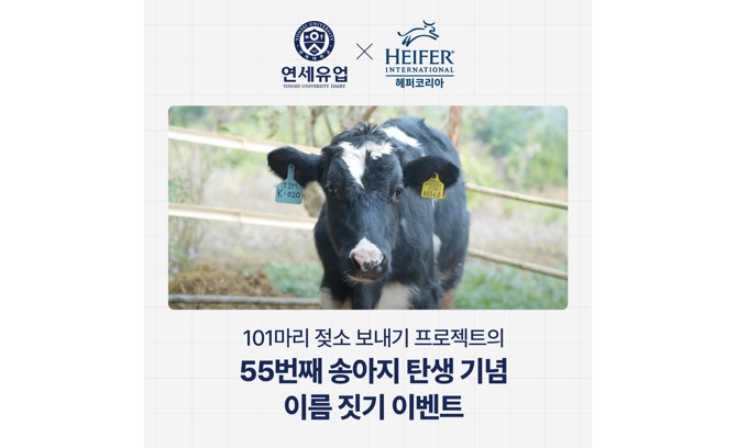 에볼루션 카지노