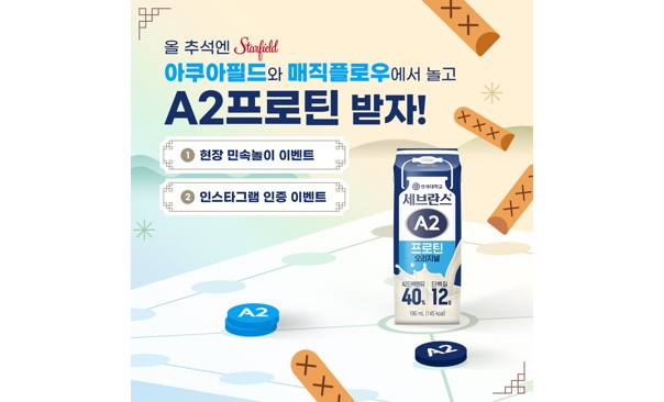 에볼루션 카지노